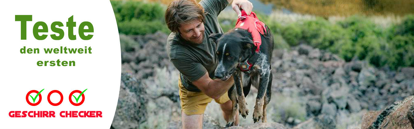 BannerTopSlider_geschirrchecker