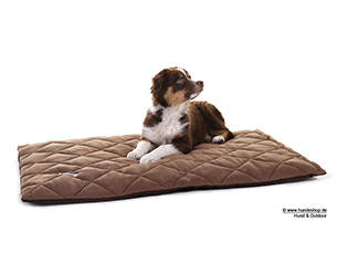 Hunde