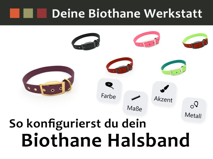 Anleitung: Biothane Halsband