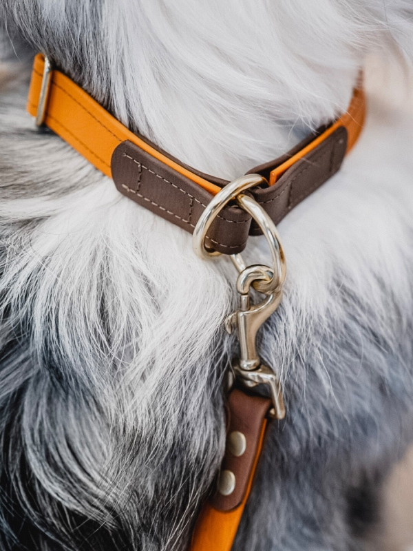 Biothane Zugstopp Halsband