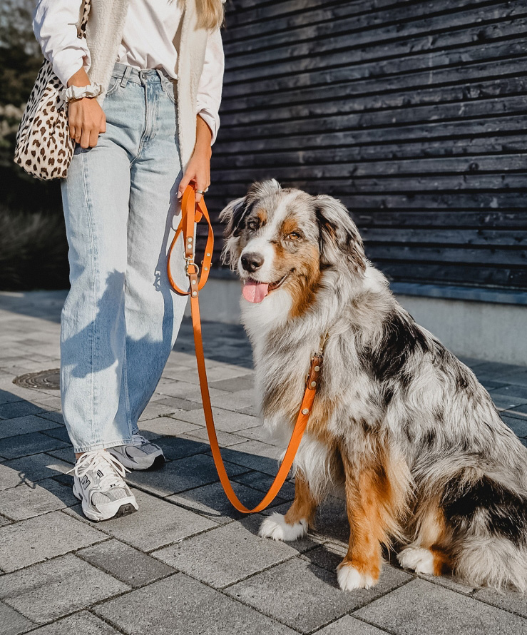 Biothane Schleppleine