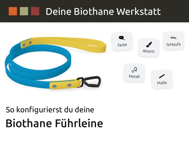 Anleitung: Biothane Führleine