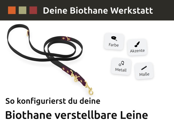 Anleitung: Biothane verstellbare Leine