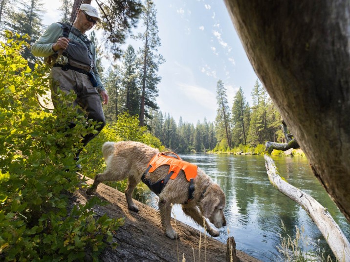 Ruffwear Hundegeschirre im Vergleich