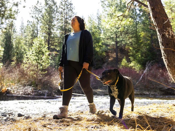 Regeln mit Hunden an der Leine