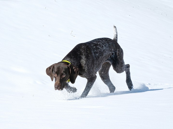 Ist Schnee fressen schlimm?