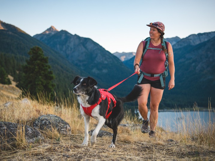 So gelingt das Wandern mit Hund