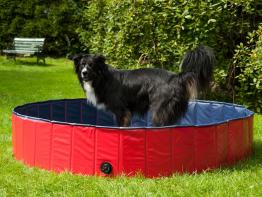 Hundepool Schwimmbecken für Hunde