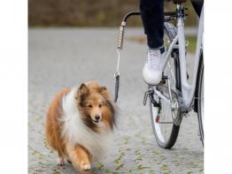 Biker Set Fahrradhalter für Hunde