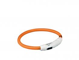 Leuchthalsband USB Flash orange