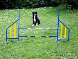 00930139 Agylity Training auch Hunde Sport Cawila Hürden-Set mit Multischeiben 