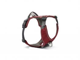 Wolters Active Pro Comfort Hundegeschirr rot/anthrazit