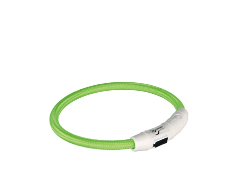 Leuchthalsband USB Flash grün