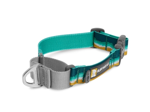 Ruffwear Web Reaction™ Martingal Hundehalsband Seafoam