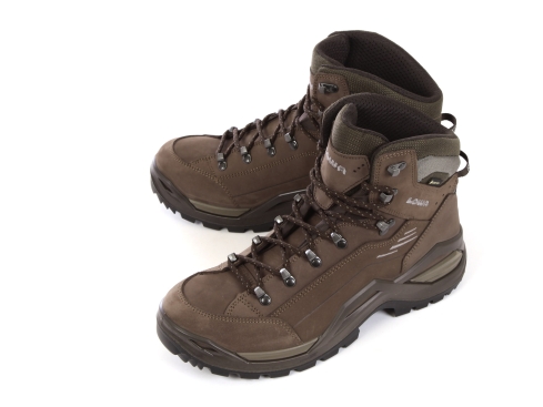 Lowa Renegade EVO GTX® MID Herrenschuh espresso/seegras