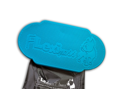 Flexiness Twindisc blau Fitnessgerät für Hunde
