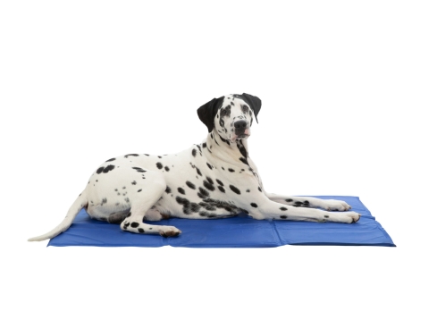 Kühlmatte für Hunde