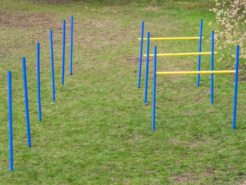 B-Ware Dog Agility Trainings Set 2