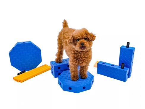 FitPAWS® FitKinect Core Training-Set für Hunde