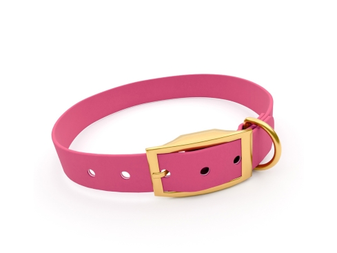 captns Biothane Hundehalsband Fundstück Passion 25mm/30-38cm Messing Nieten