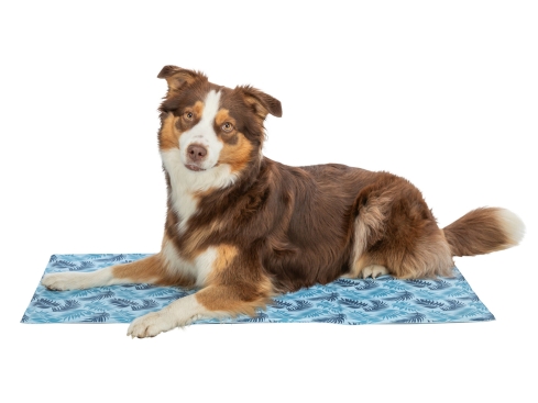 Kühlmatte mit Palmblättern für Hunde