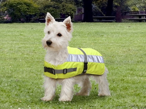 Thermo Hundemantel Flecta gelb