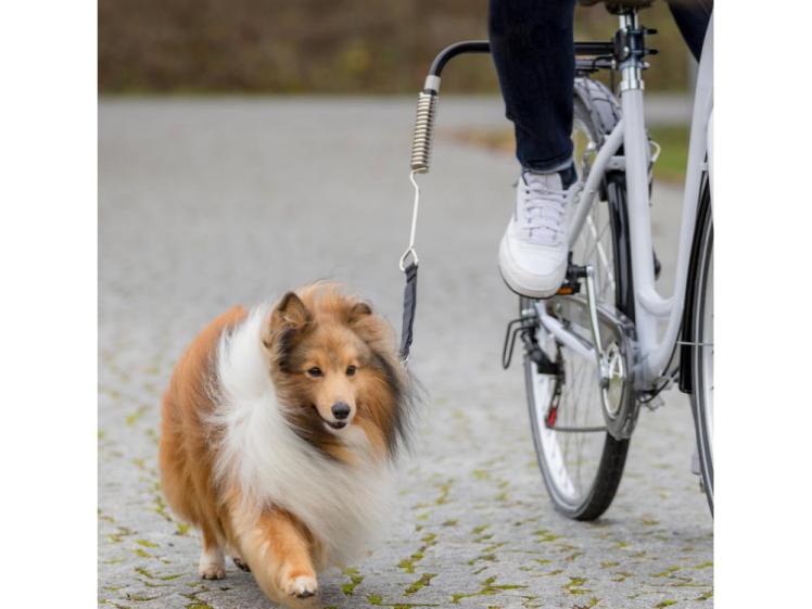 Biker Set Fahrradhalter für Hunde 1