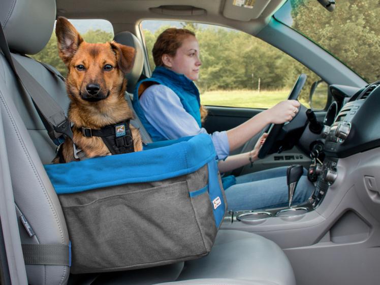 Kurgo Autositz für kleine Hunde Heather Seat grau/blau 1
