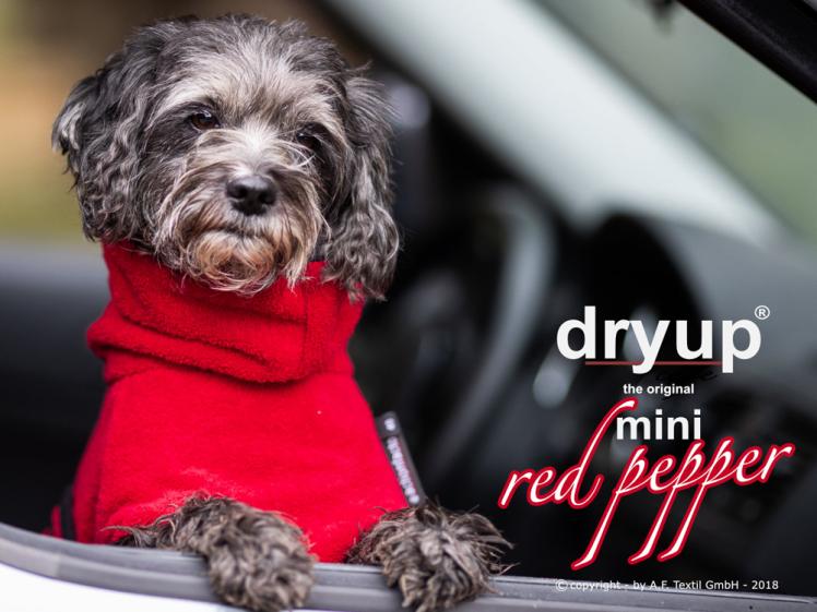 Dryup Cape Hundebademantel Mini red pepper 1