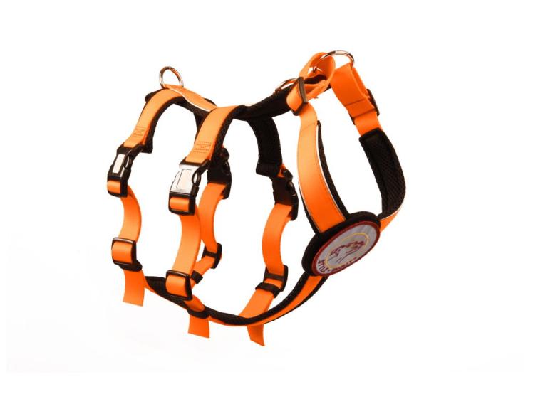 Style Snout Sicherheitsgeschirr Patch & Safe Neon-Orange-Black 1