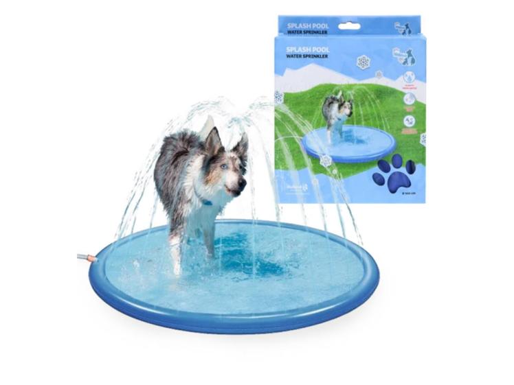 CoolPets Splash Pool Springbrunnen für Hunde 1
