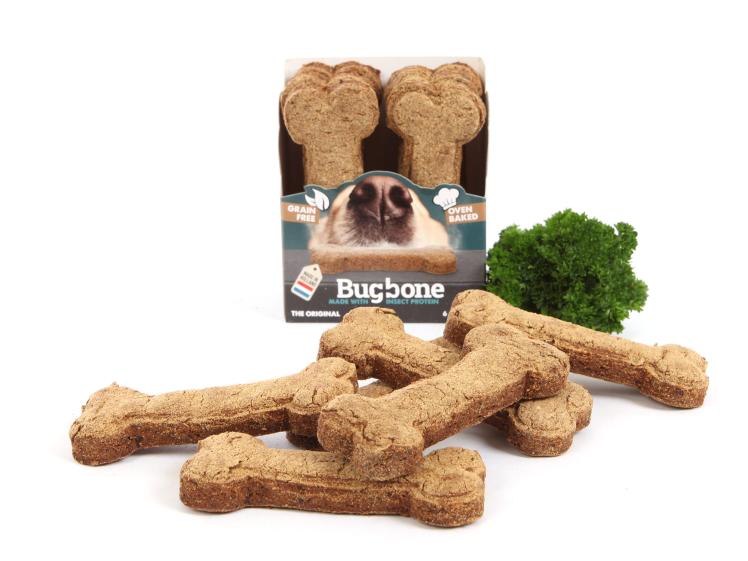 Bugbone Hundesnack mit Insektenprotein Medium 1