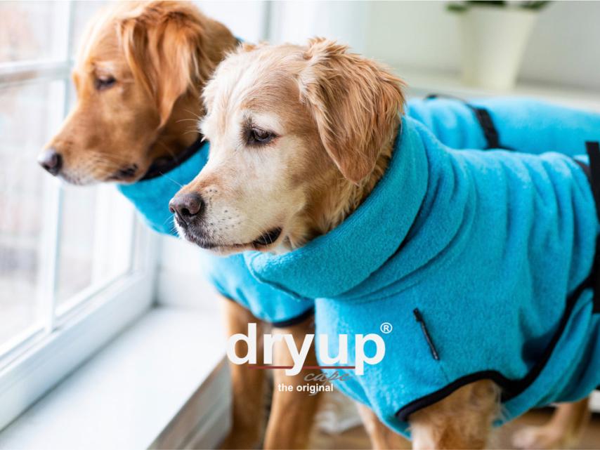 Dryup Cape Hundebademantel Cyan M 1