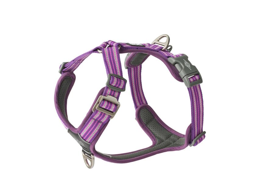 Dog Copenhagen Comfort Walk Air V3 Hundegeschirr Purple Passion XS 1