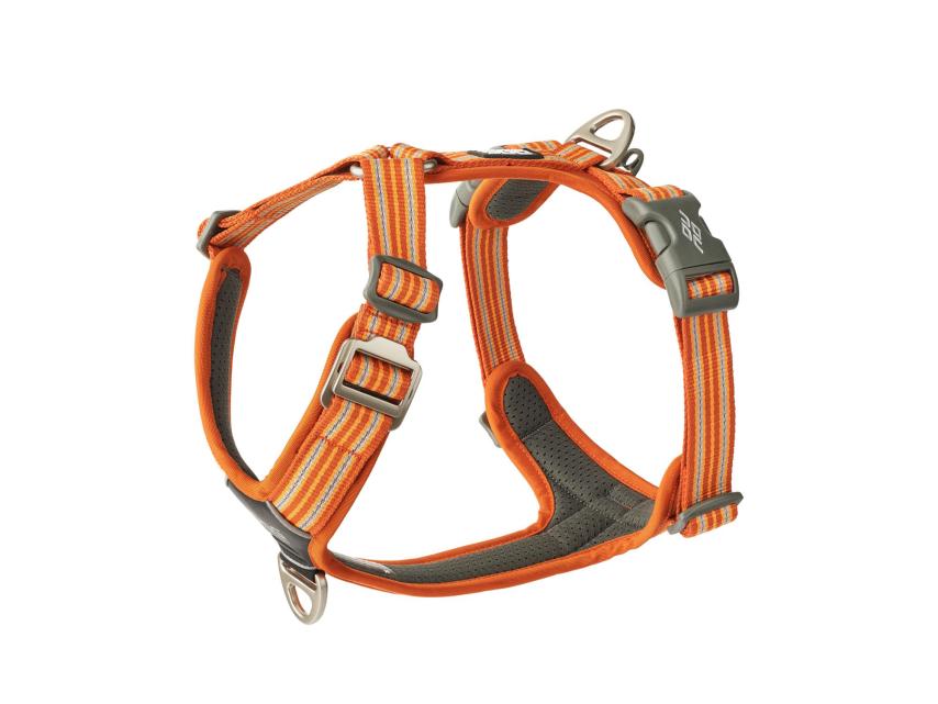 Dog Copenhagen Comfort Walk Air V3 Hundegeschirr Orange Sun S 1