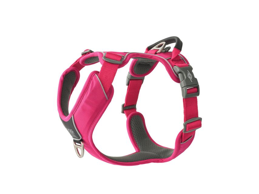 Dog Copenhagen Comfort Walk Pro V3 Hundegeschirr Wild Rose XS 1