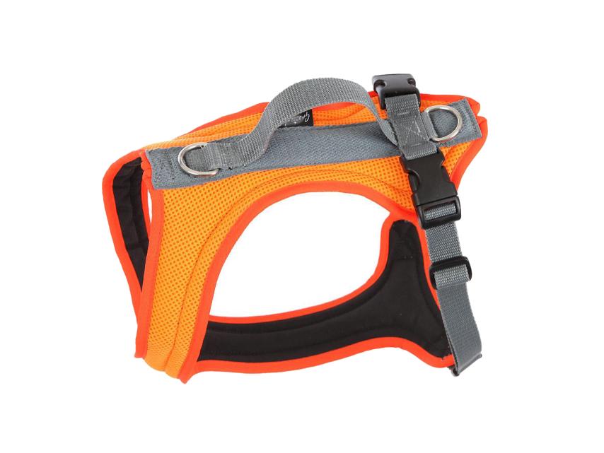 Grossenbacher Hundegeschirr Dogs FunRun Standard Leuchtorange 4XS 1