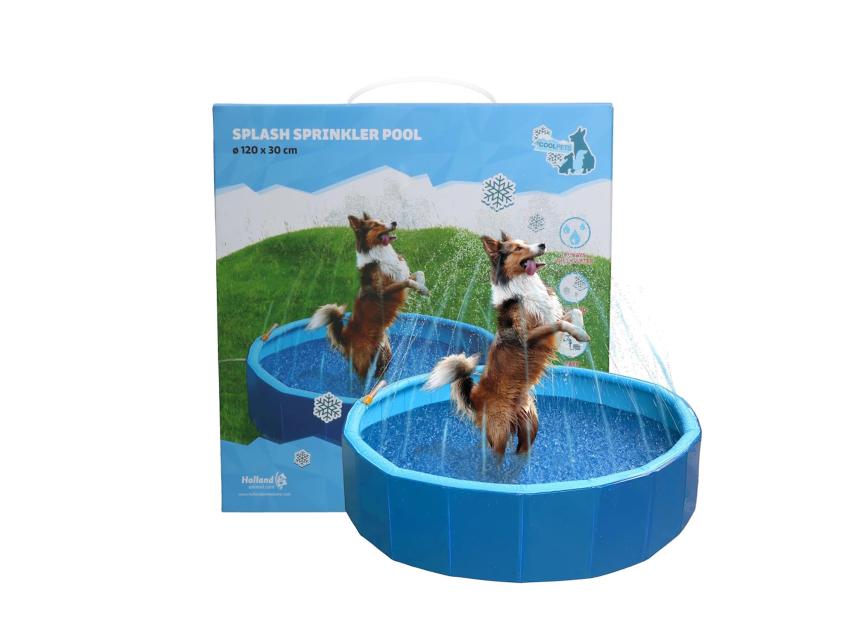 CoolPets Splash Sprinkler Pool für Hunde 1