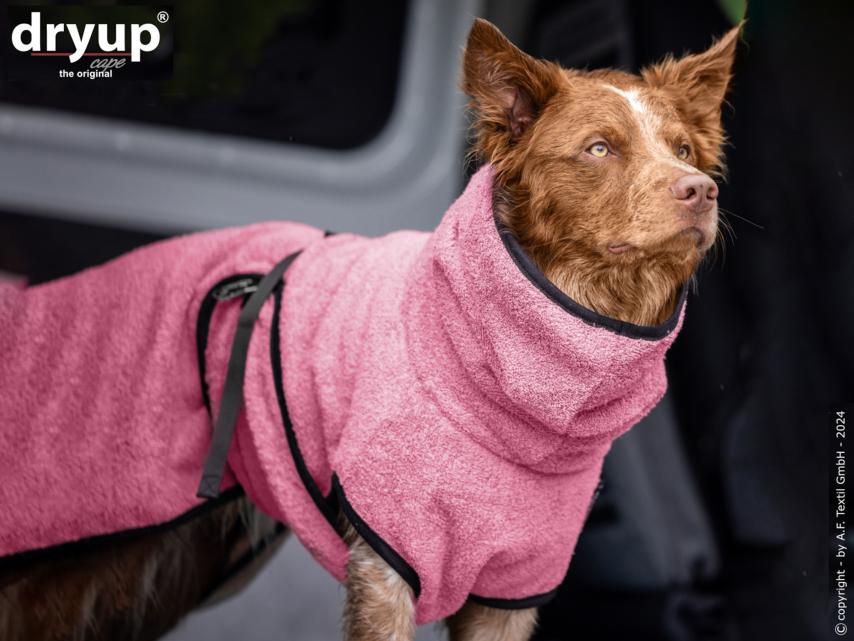 Dryup Cape Hundebademantel rose XS 1