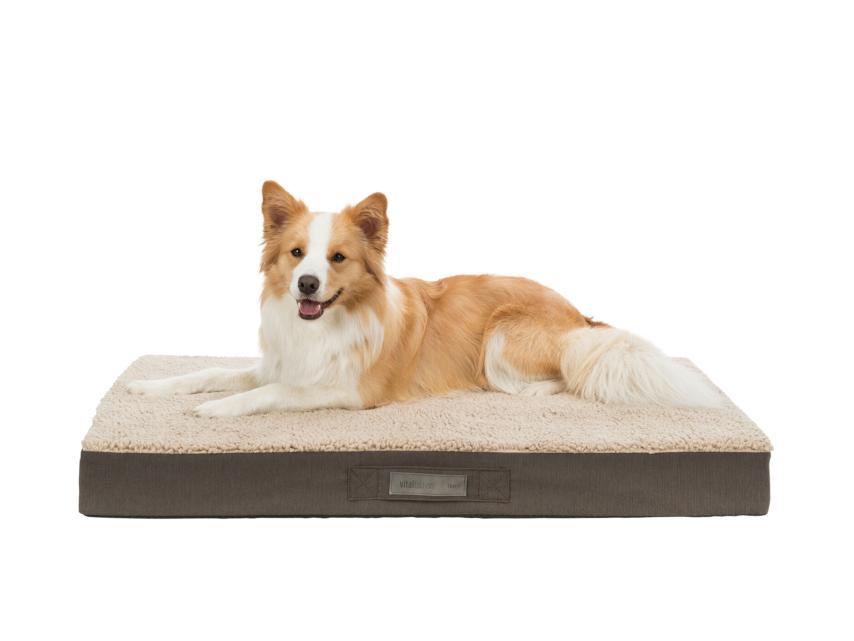 Orthopädische Vital Hunde-Matratze Bendson braun/beige 80 x 60 cm 1