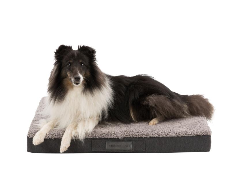 Orthopädische Vital Hunde-Matratze Bendson grau 80 x 60 cm 1
