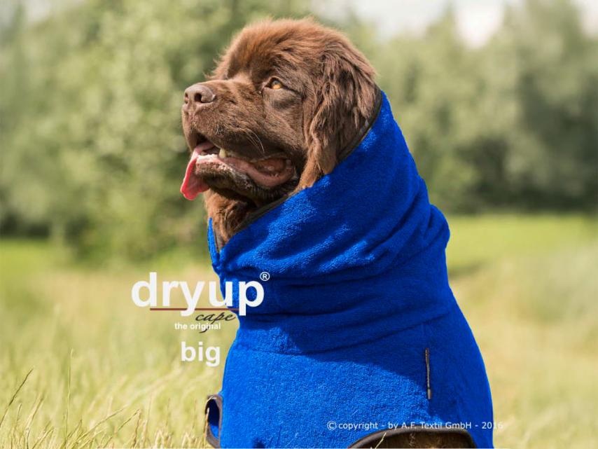 Dryup Cape Hundebademantel BIG blueberry 3XL (84 cm) 1