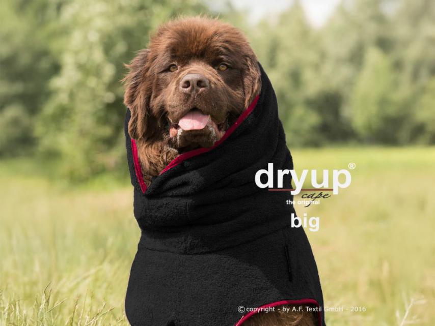 Dryup Cape Hundebademantel BIG black 3XL (84 cm) 1