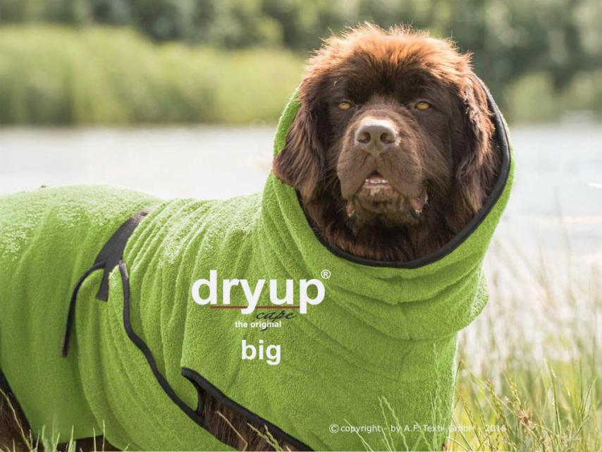 Dryup Cape Hundebademantel BIG kiwi 2XL (79 cm) 1