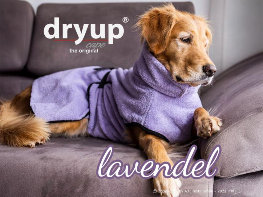 Dryup Cape Hundebademantel lavendel XS 1