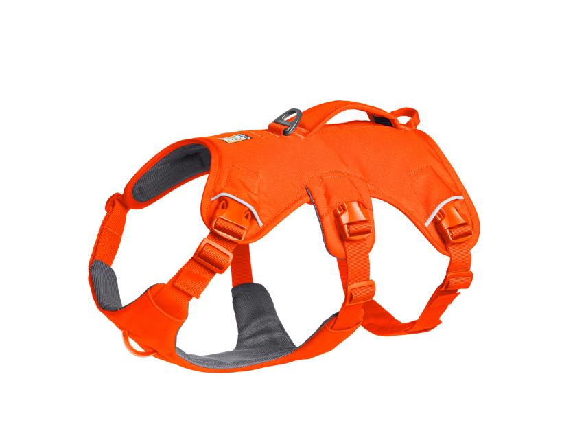 Ruffwear Web Master™ Hundegeschirr 2.0 Blaze Orange XS 1