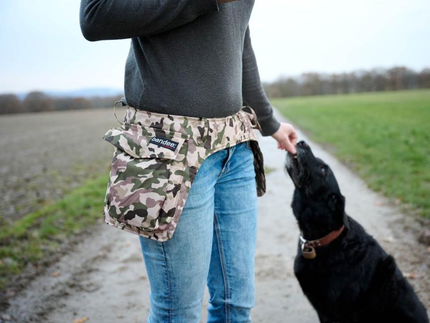 Owney Hundehalter Hüfttasche bandee: pouch +  camouflage M 1