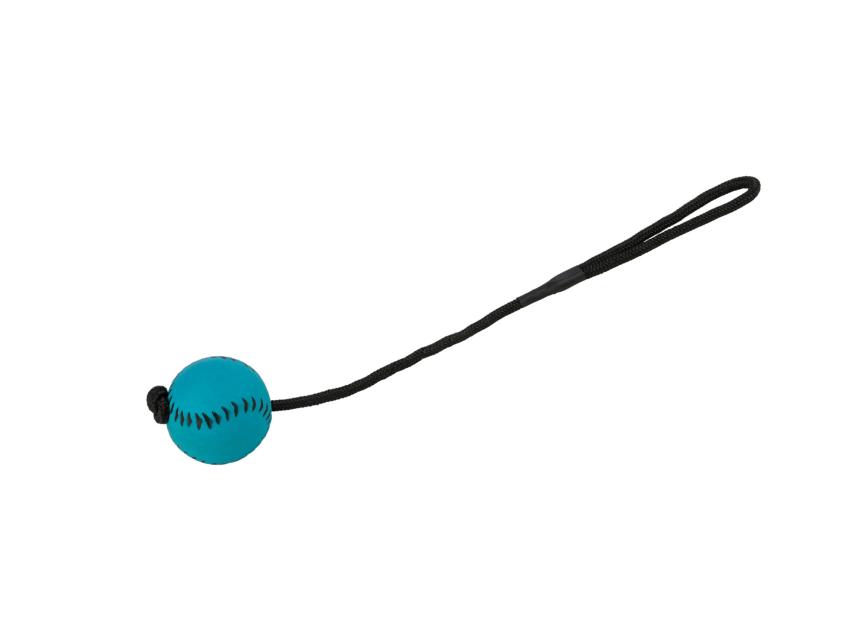 Sportball am Seil aus Moosgummi für Hunde 1