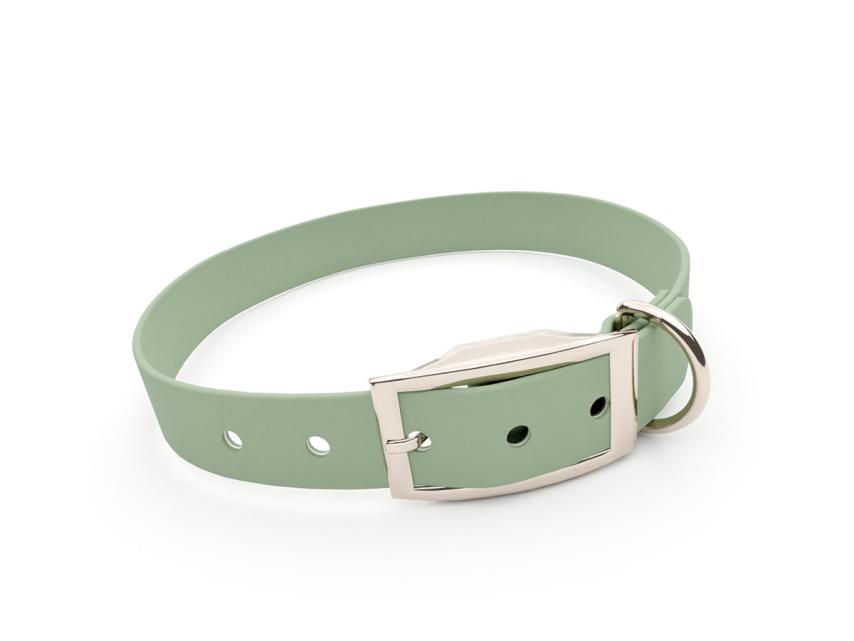 captns Biothane Hundehalsband Fundstück Sage 19mm/33-41cm Chrom-Nickel Nieten 1