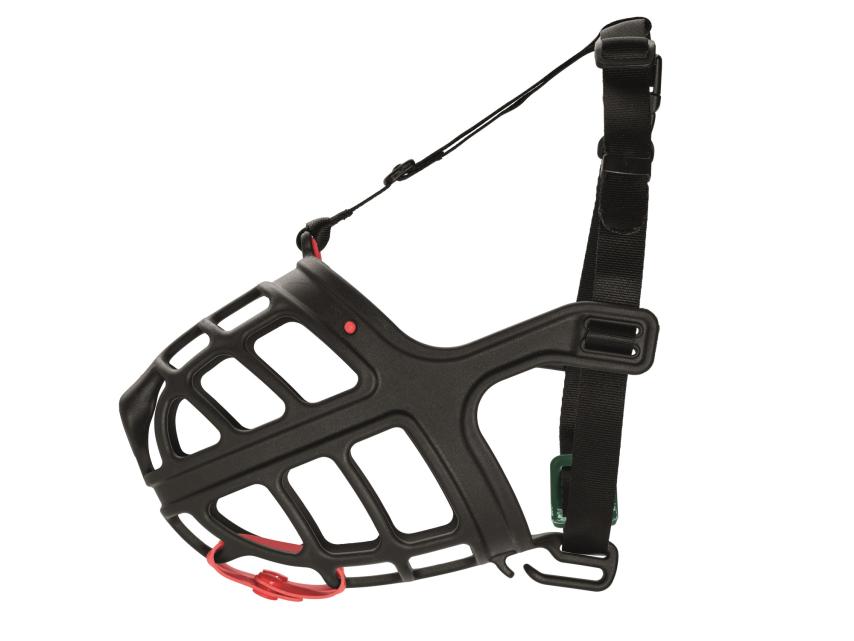 Hunter Maulkorb Albury 1